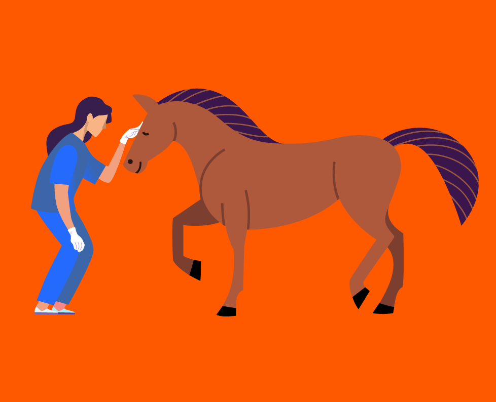 Medicina Veterinaria y Zootecnia