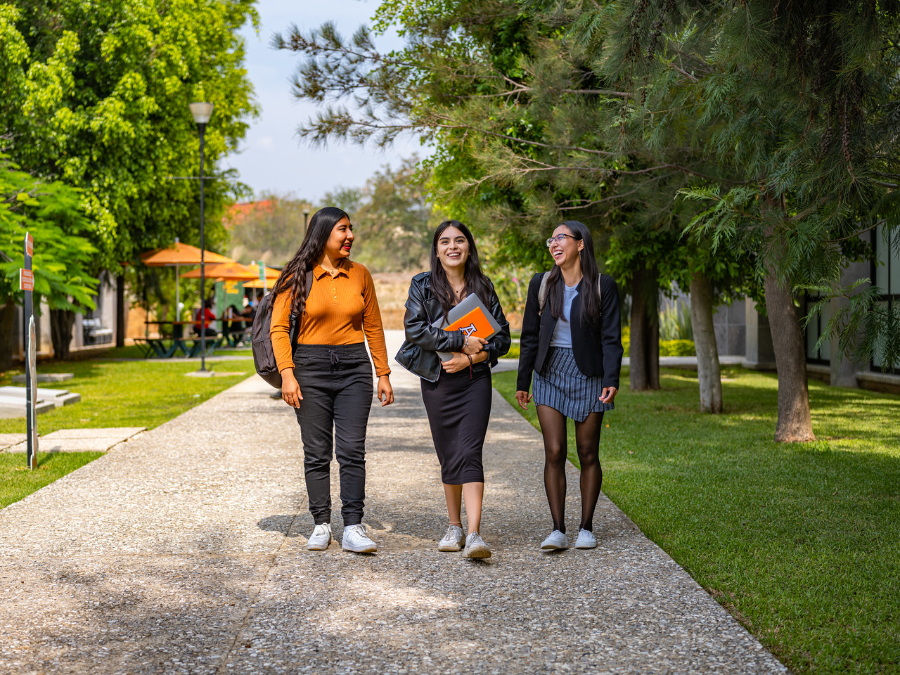 Estudiar negocios internacionales