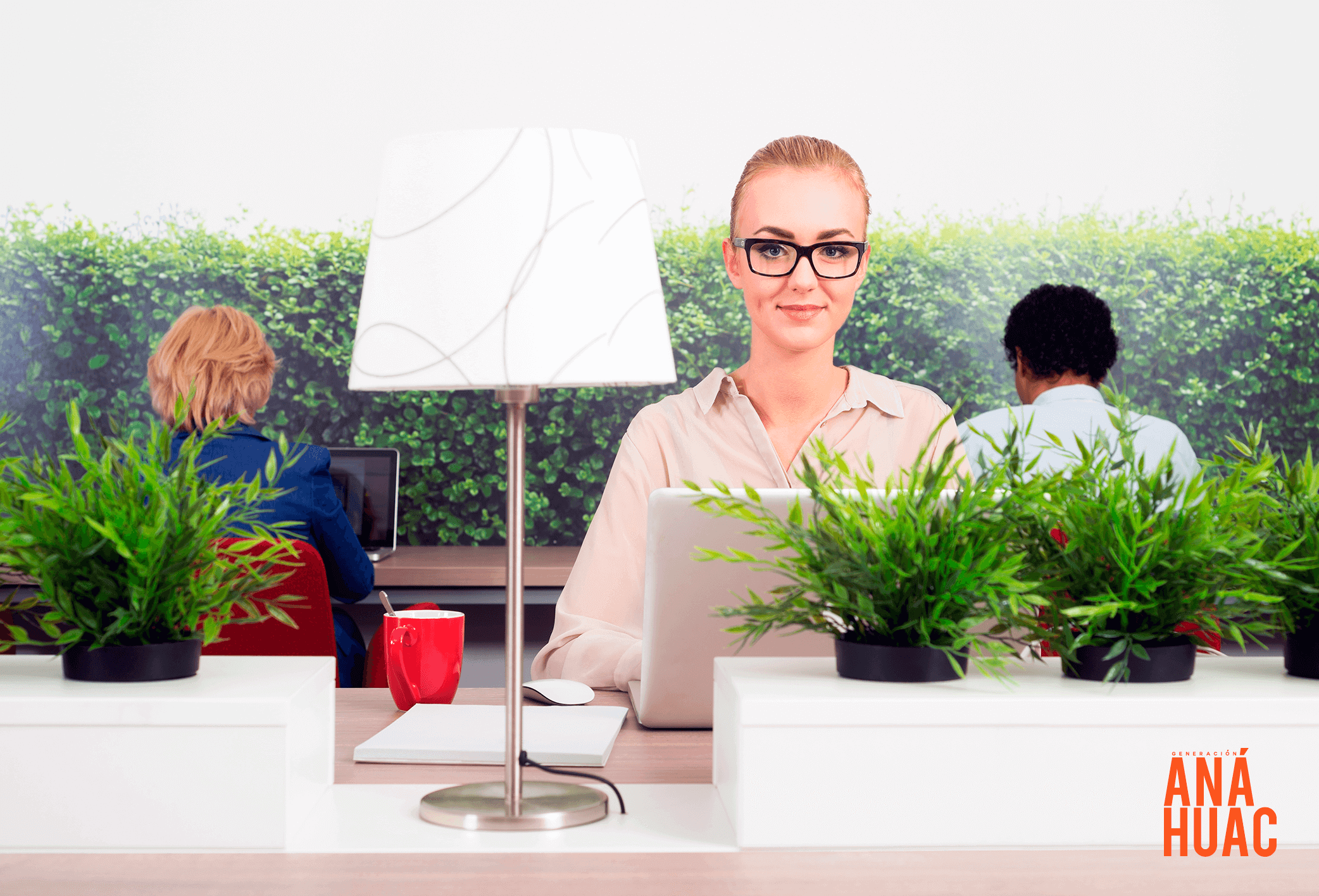 Consejos para llevar una compañía sustentable