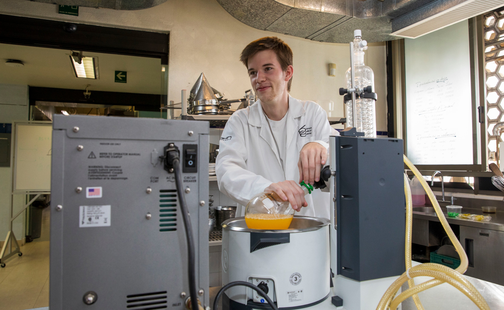 investigación en la gastronomía en la Anáhuac